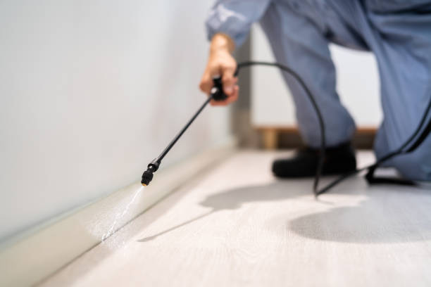 Licensed Pest Control service in Tecumseh, OK - Show Me Pest Control