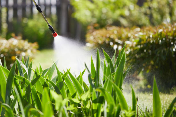 Tamper-Resistant Bait Stations for Rodents in Tecumseh