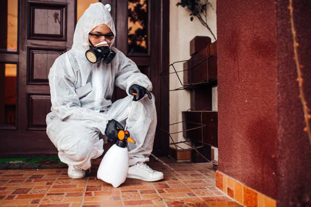 Attic and Crawl Space Rodent Treatment in Tecumseh